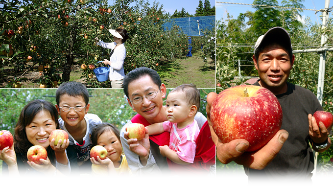 リンゴ農園