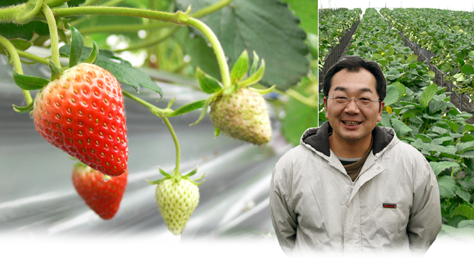 森田さん